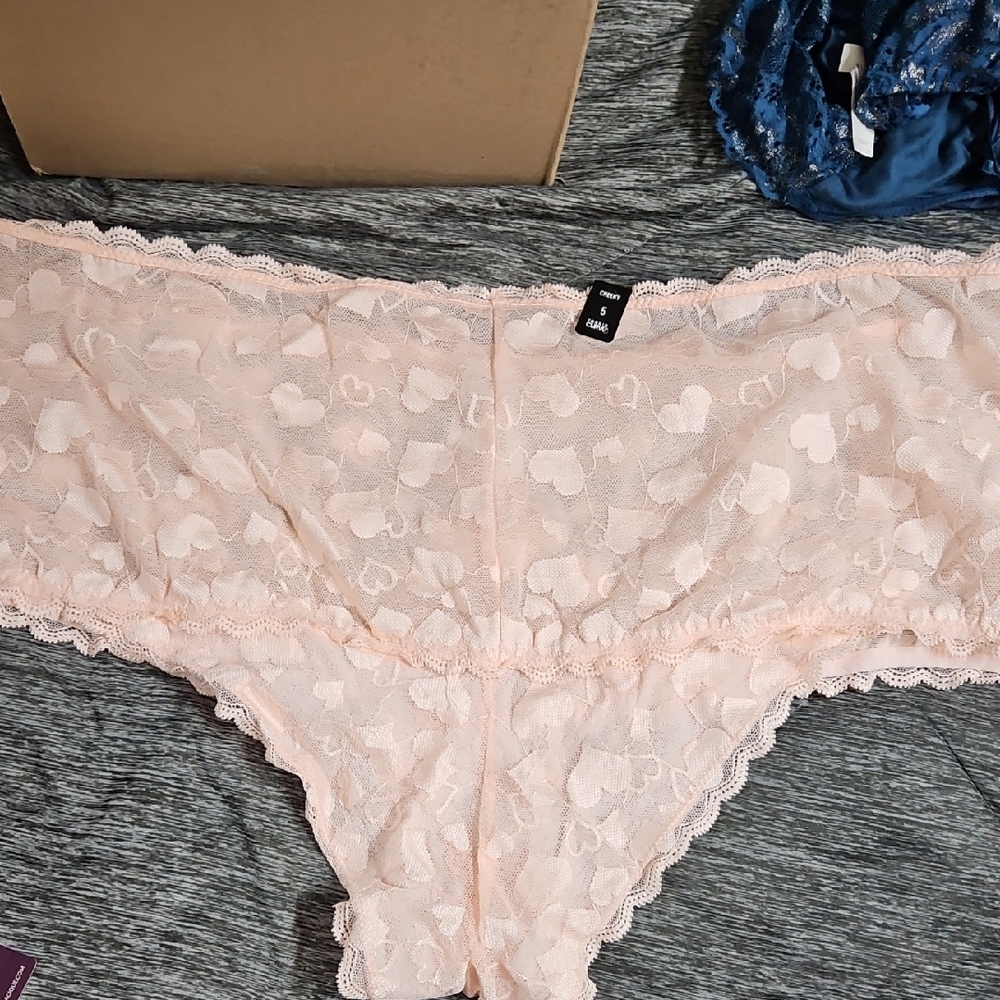 Torrid Pink Lace Heart Panties